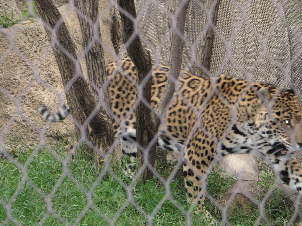 20100206 531.JPG